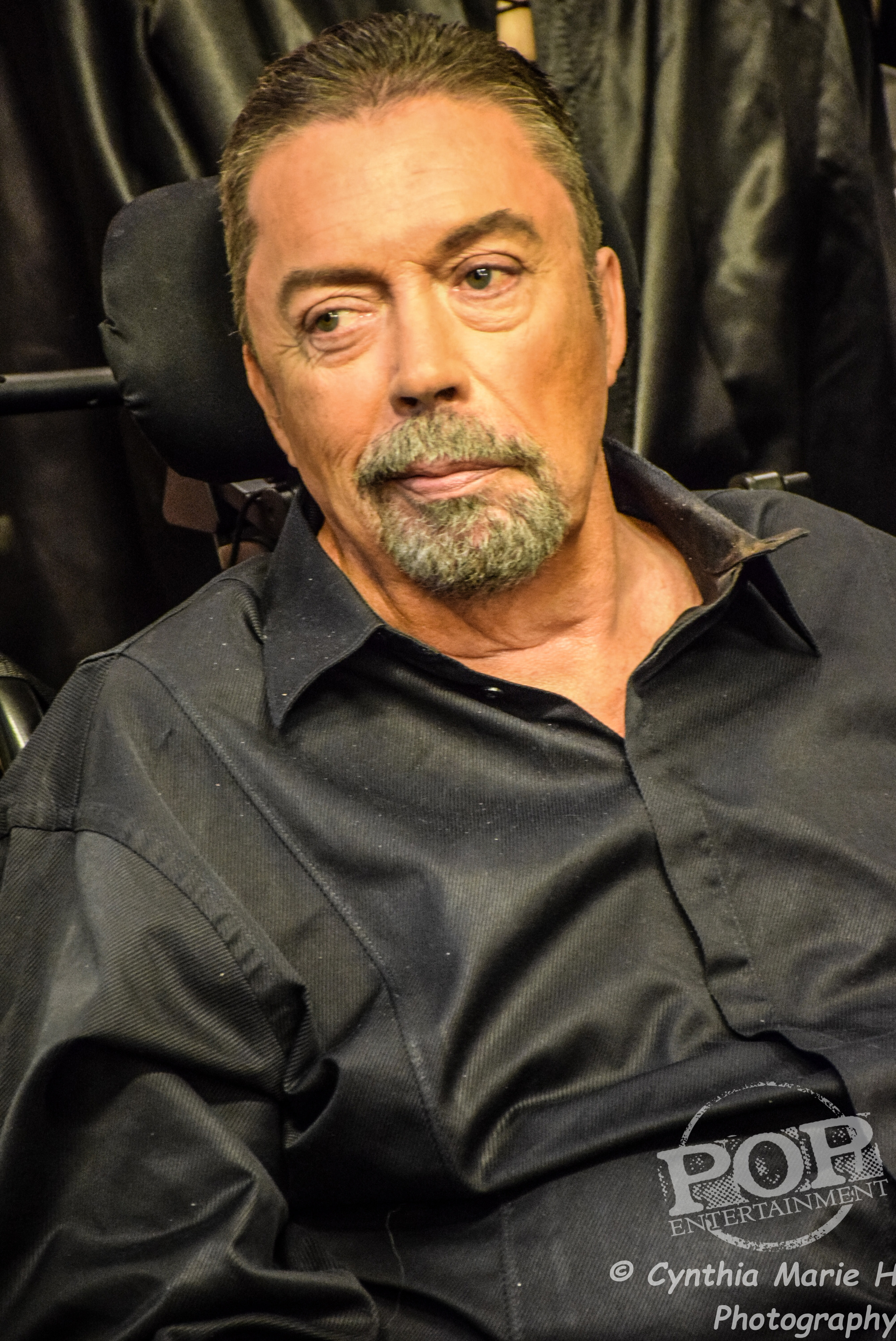 Tim curry bisexual